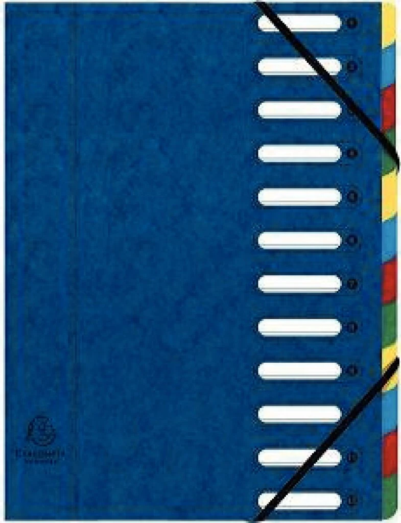 EXACOMPTA Ordnungsmappe, DIN A4, Karton, 12 Fächer, blau (EAN: 3130630551225)
