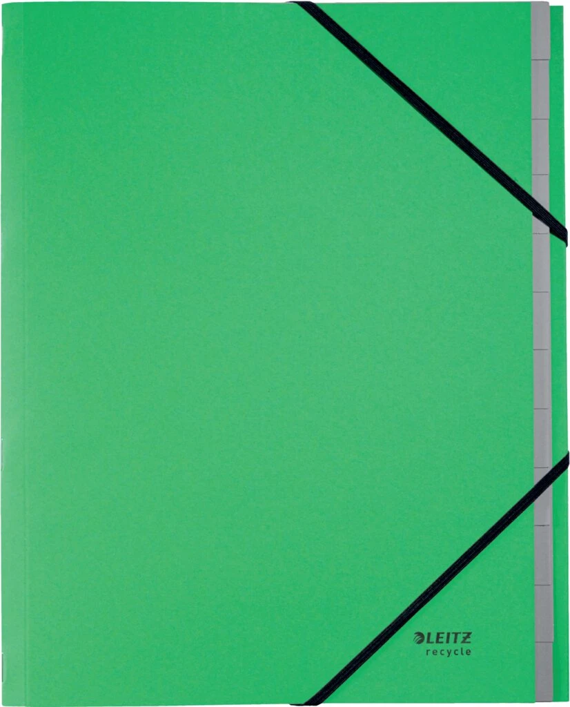 LEITZ Ordnungsmappe Recycle, DIN A4, Karton, 12 Fächer, grün (EAN: 4002432130849)
