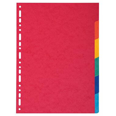 EXACOMPTA Karton-Register, DIN A4, 6-teilig (EAN: 3130630014065)