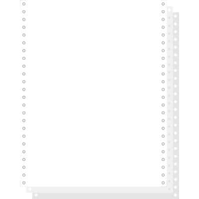 EXACOMPTA Computerpapier endlos, 240 mm x 12" (30,48 cm) (EAN: 3130630624233)