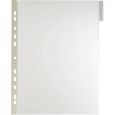 DURABLE Sichttafel FUNCTION, DIN A4, transparent (EAN: 4005546571324)