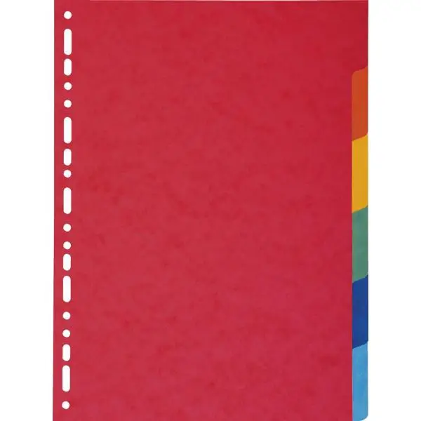 EXACOMPTA Karton-Register, DIN A4, 12-teilig (EAN: 3130630020127)