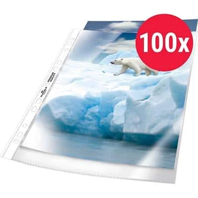 DURABLE BUSINESS Prospekthülle, DIN A4, PP, transparent (EAN: 4005546219790)
