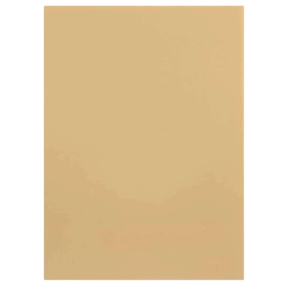 ELBA Aktendeckel, DIN A4, Manilakarton, ohne Druck, chamois (EAN: 4002030050761)