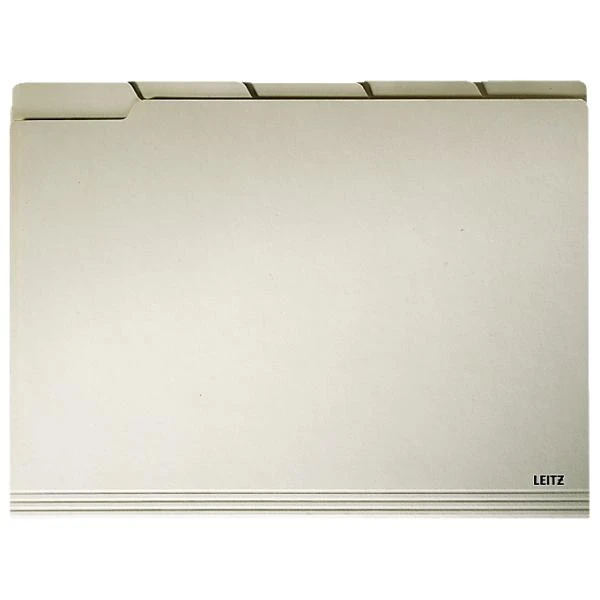 LEITZ Einstellmappe, mit Taben, A4, chamois (EAN: 4002432305155)