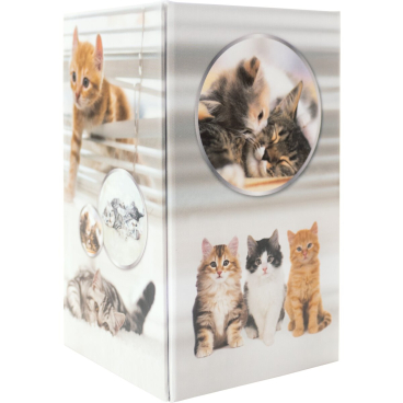 HERMA Stifteköcher "Katzen", Karton (EAN: 4008705197335)
