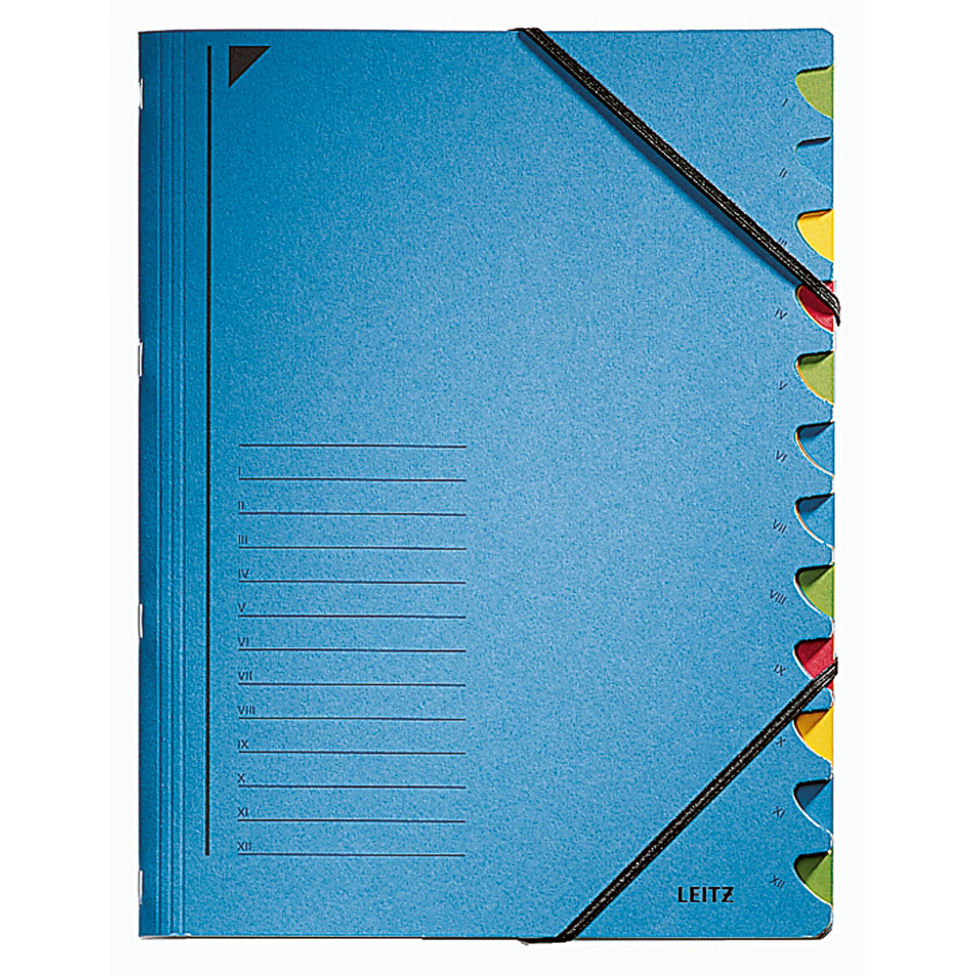 LEITZ Ordnungsmappe, DIN A4, Karton, 12 Fächer, blau (EAN: 4002432329090)