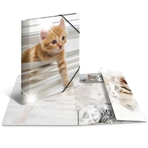 HERMA Eckspannermappe "Katzen", PP Glossy, DIN A4 (EAN: 4008705193283)