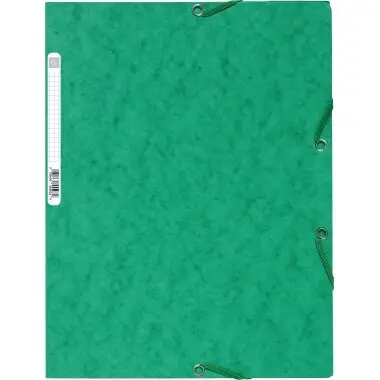 EXACOMPTA Eckspannermappe, DIN A4, Karton, grün (EAN: 3130630555032)