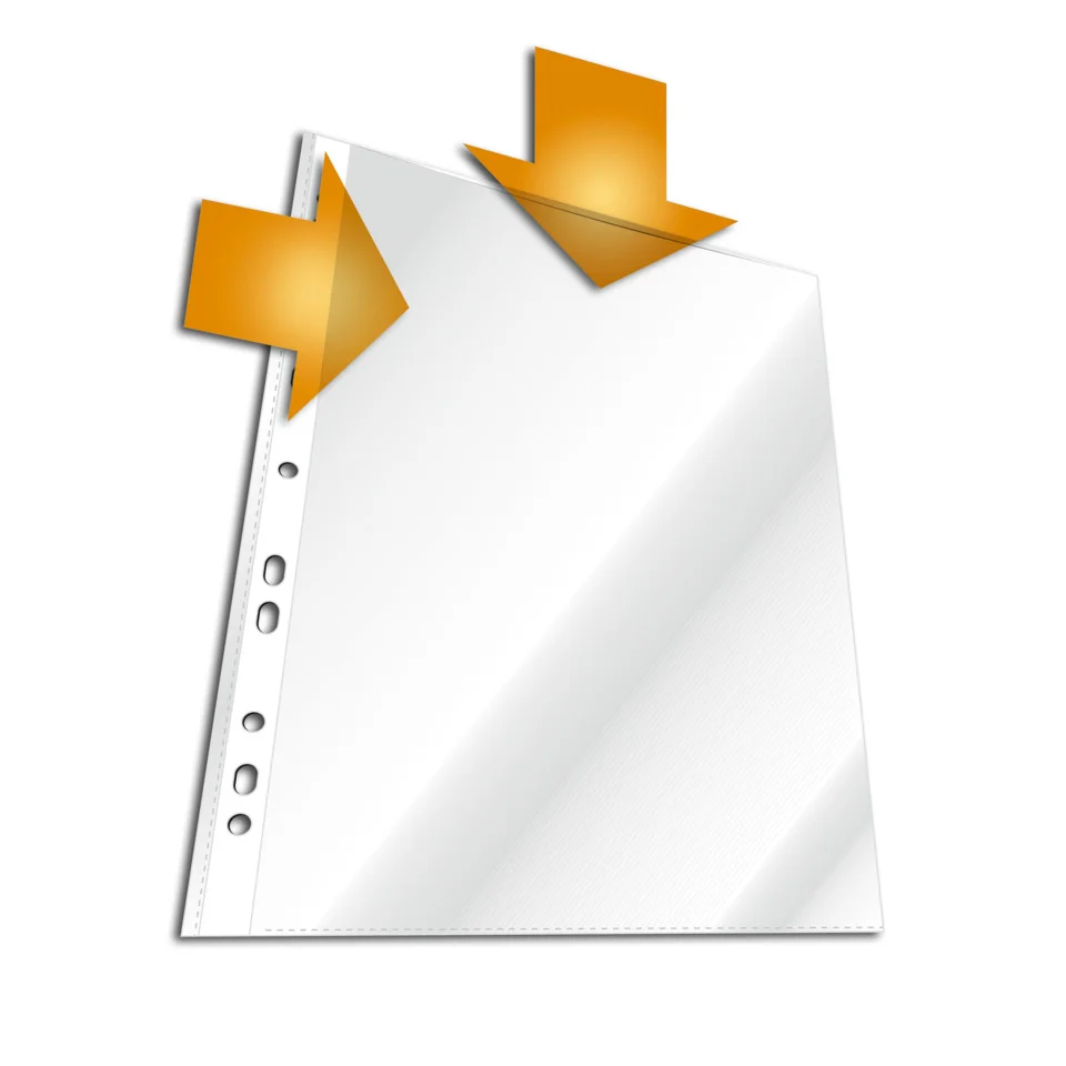DURABLE Prospekthülle, A4, oben und Lochseite offen, PP, transparent (EAN: 4005546231020)