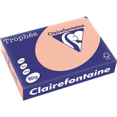 Clairefontaine Multifunktionspapier Trophée, A4, pfirsich (EAN: 3329680197006)