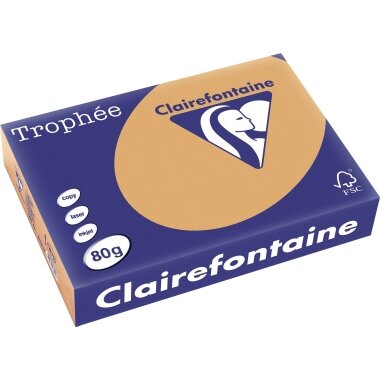 Clairefontaine Multifunktionspapier Trophée, A4, camel (EAN: 3329680187908)