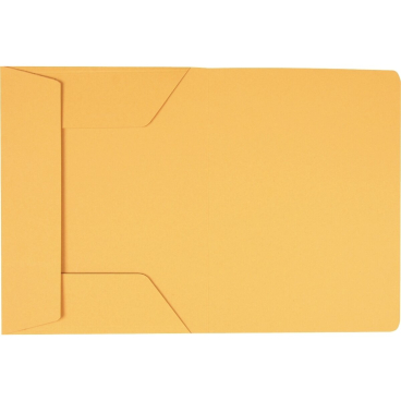EXACOMPTA Aktenmappe, DIN A4, Karton, pastellgelb (EAN: 3130634480057)