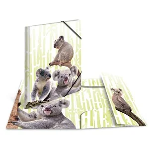 HERMA Eckspannermappe Exotische Tiere, A4, Koalafamilie (EAN: 4008705199582)
