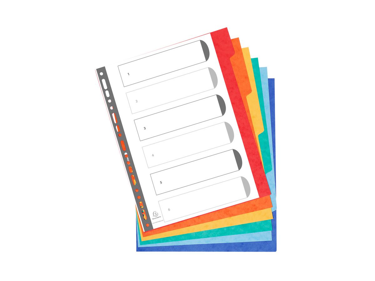 EXACOMPTA Karton-Register, DIN A4+, 6-teilig (EAN: 3130630026068)