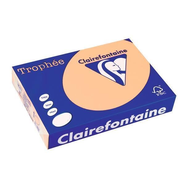Clairefontaine Multifunktionspapier, DIN A3, lachs (EAN: 3329680111101)