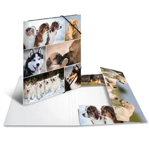HERMA Eckspannermappe "Hunde", aus Karton, DIN A4 (EAN: 4008705192118)
