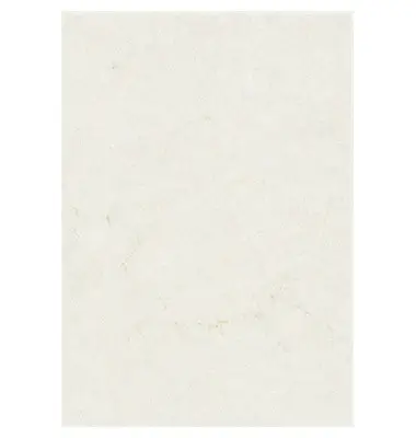 Elefantenhaut, DIN A4, 110 g/qm, weiß (EAN: 4053229888344)