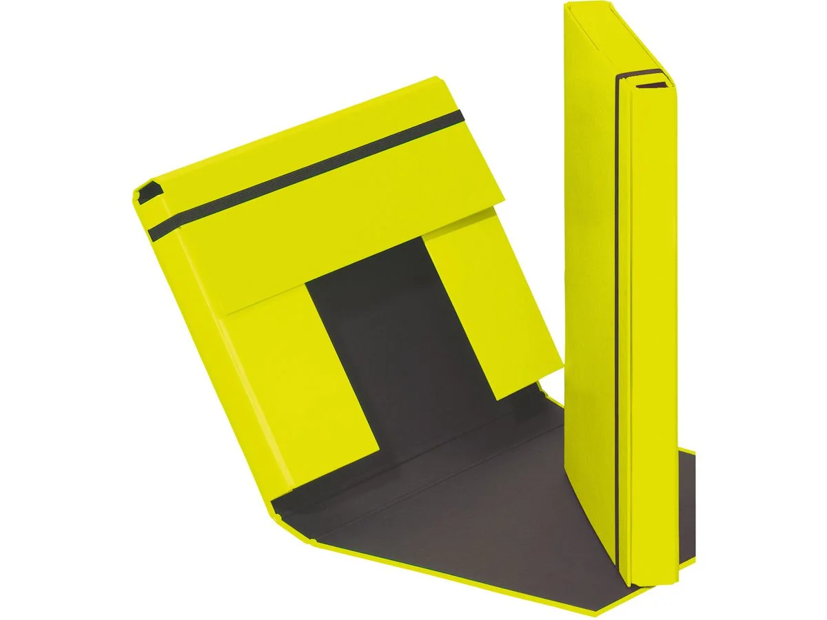 PAGNA Heftbox "Trend Colours", DIN A4, lindgrün (EAN: 4009212027054)