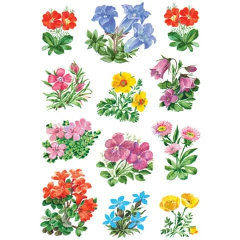HERMA Sticker DECOR "Gebirgsblumen" (EAN: 4008705035828)