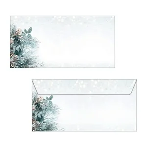 sigel Weihnachts-Umschlag Eucalyptus magic, DIN lang, grün, weiß, braun (EAN: 4004360786525)