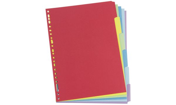 Oxford Karton-Register, blanko, DIN A4, farbig, 12-teilig (EAN: 3148240620323)