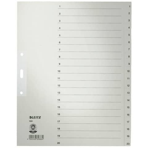 LEITZ Tauenpapier-Register, Zahlen, A4 Überbreite, 1-20,grau (EAN: 4002432328864)