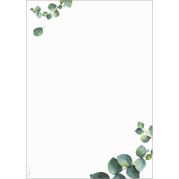 sigel Design-Papier "Eucalyptus", DIN A4, 90 g/qm (EAN: 4004360770913)
