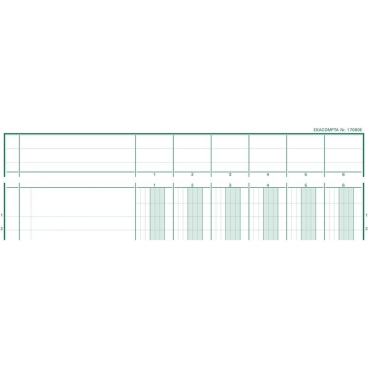 EXACOMPTA Spaltenbuch DIN A4, 6 Spalten je Seite (EAN: 3130632170608)