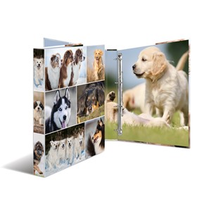 HERMA Ringbuch "Hunde", DIN A4, 4-Ring-Mechanik (EAN: 4008705193580)