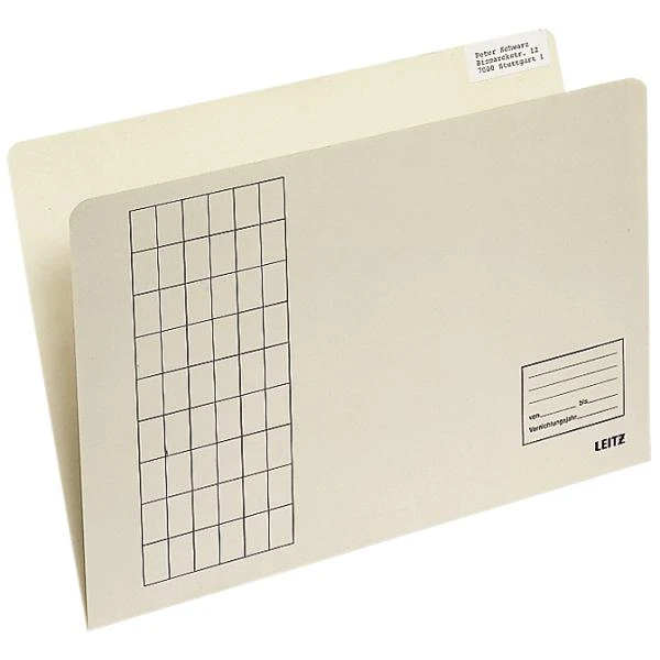 LEITZ Einfach-Einstellmappe, vertikal, Gitterdruck, chamois (EAN: 4002432305148)