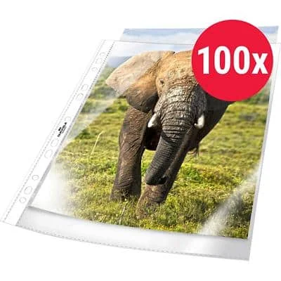 DURABLE BUSINESS Prospekthülle, DIN A4, PP, transparent (EAN: 4005546219776)