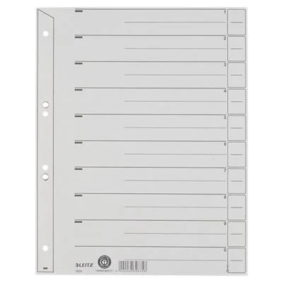 LEITZ Trennblätter, A4 Überbreite, Kraftkarton 200g/qm, grau (EAN: 4002432328758)
