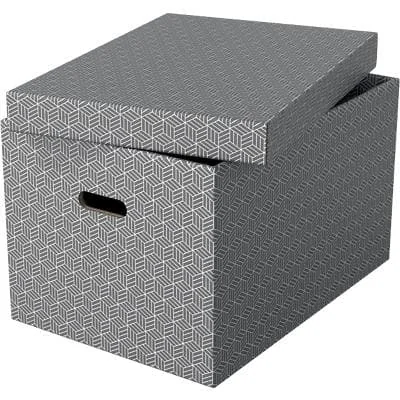Esselte Aufbewahrungsbox Home L, 3er Set, grau (EAN: 4049793072326)