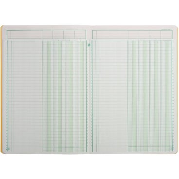 EXACOMPTA Spaltenbuch DIN A4, 4 Spalten je Seite (EAN: 3130632170400)