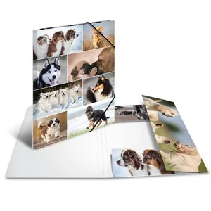 HERMA Eckspannermappe "Hunde", aus Karton, DIN A3 (EAN: 4008705192187)