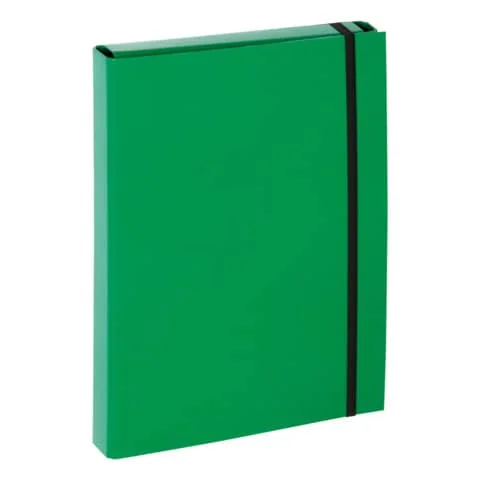 PAGNA Heftbox "Basic Colours", DIN A4, grün (EAN: 4009212016515)