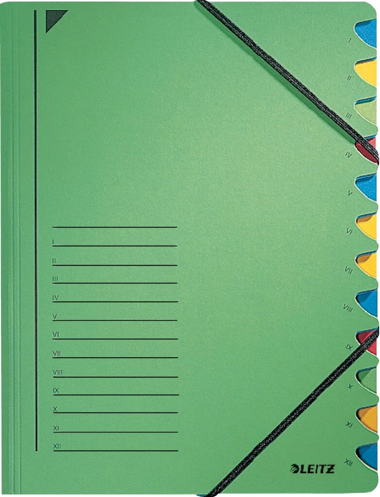 LEITZ Ordnungsmappe, DIN A4, Karton, 12 Fächer, grün (EAN: 4002432335589)