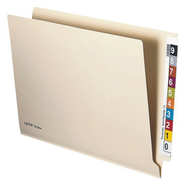 LEITZ Einstellmappe OrgacolorPlus, A4, mit Tab, chamois (EAN: 4002432337354)