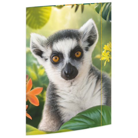 RNK Verlag Zeichnungsmappe "Lemur", Karton, DIN A3 (EAN: 4002871453950)