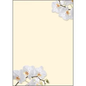 sigel Design-Papier, DIN A4, 90 g/qm, Motiv "White Orchid" (EAN: 4004360880964)