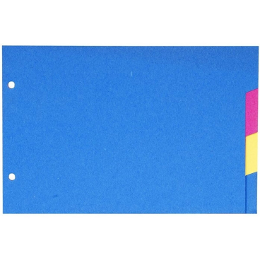 EXACOMPTA Karton-Register, 148 x 210 mm, 4-teilig (EAN: 3130631008049)