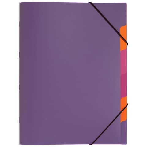 PAGNA Ordnungsmappe "Funky School", DIN A4, PP, 5 Fächer (EAN: 4009212041760)