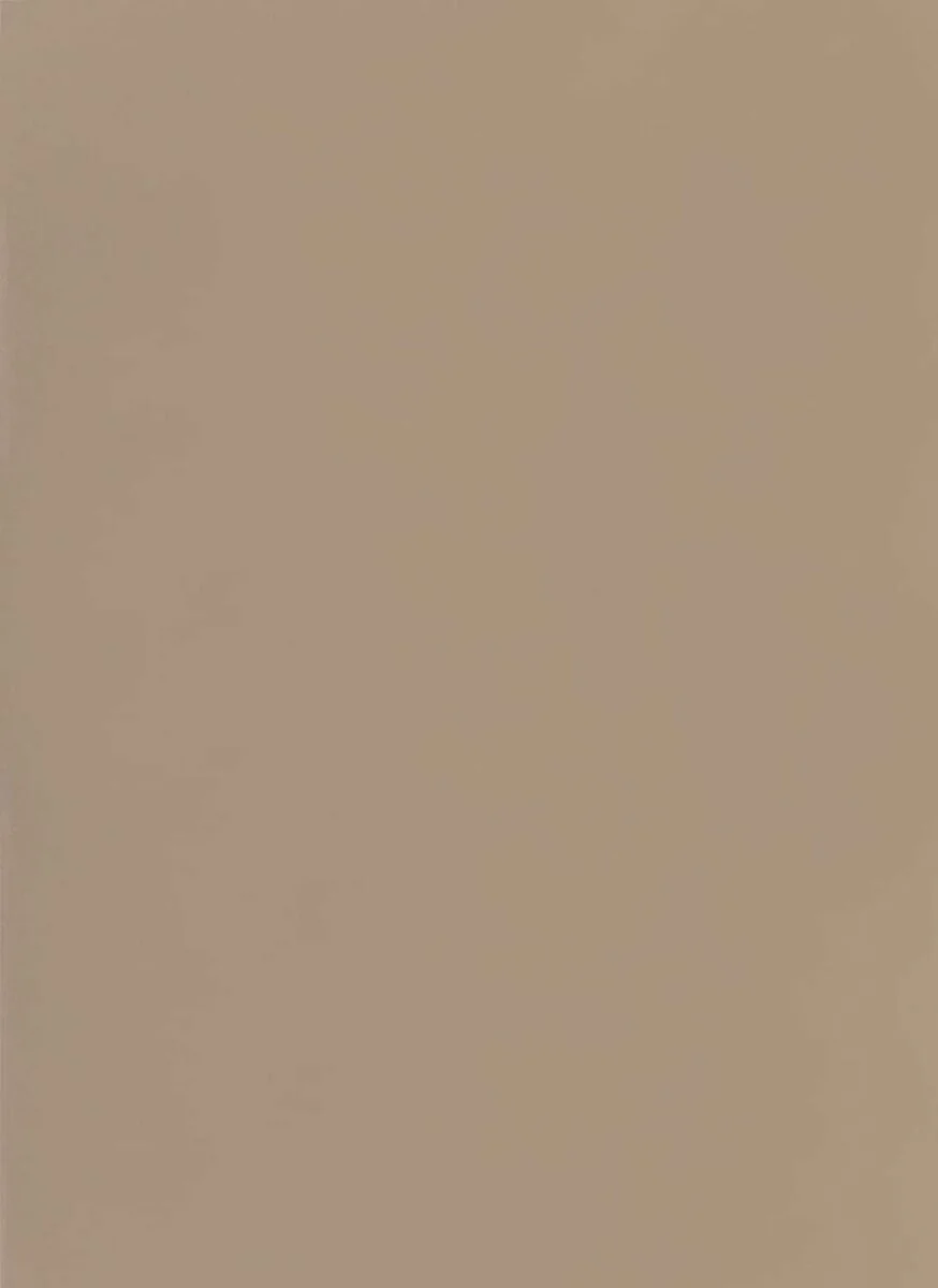 folia Fotokarton, (B)500 x (H)700 mm, 300 g/qm, cappuccino (EAN: 4001868085150)