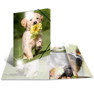 HERMA Eckspannermappe "Hunde", PP Glossy, DIN A4 (EAN: 4008705193276)