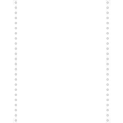 EXACOMPTA Computerpapier endlos, 240 mm x 12" (30,48 cm) (EAN: 3130630654216)
