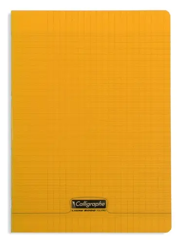 Calligraphe Notizbuch 8000 POLYPRO, 210 x 297 mm, orange (EAN: 3210330181387)