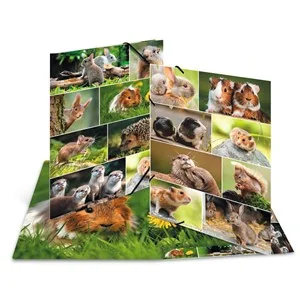 HERMA Eckspannermappe "Nagetiere", Karton, DIN A3 (EAN: 4008705194532)