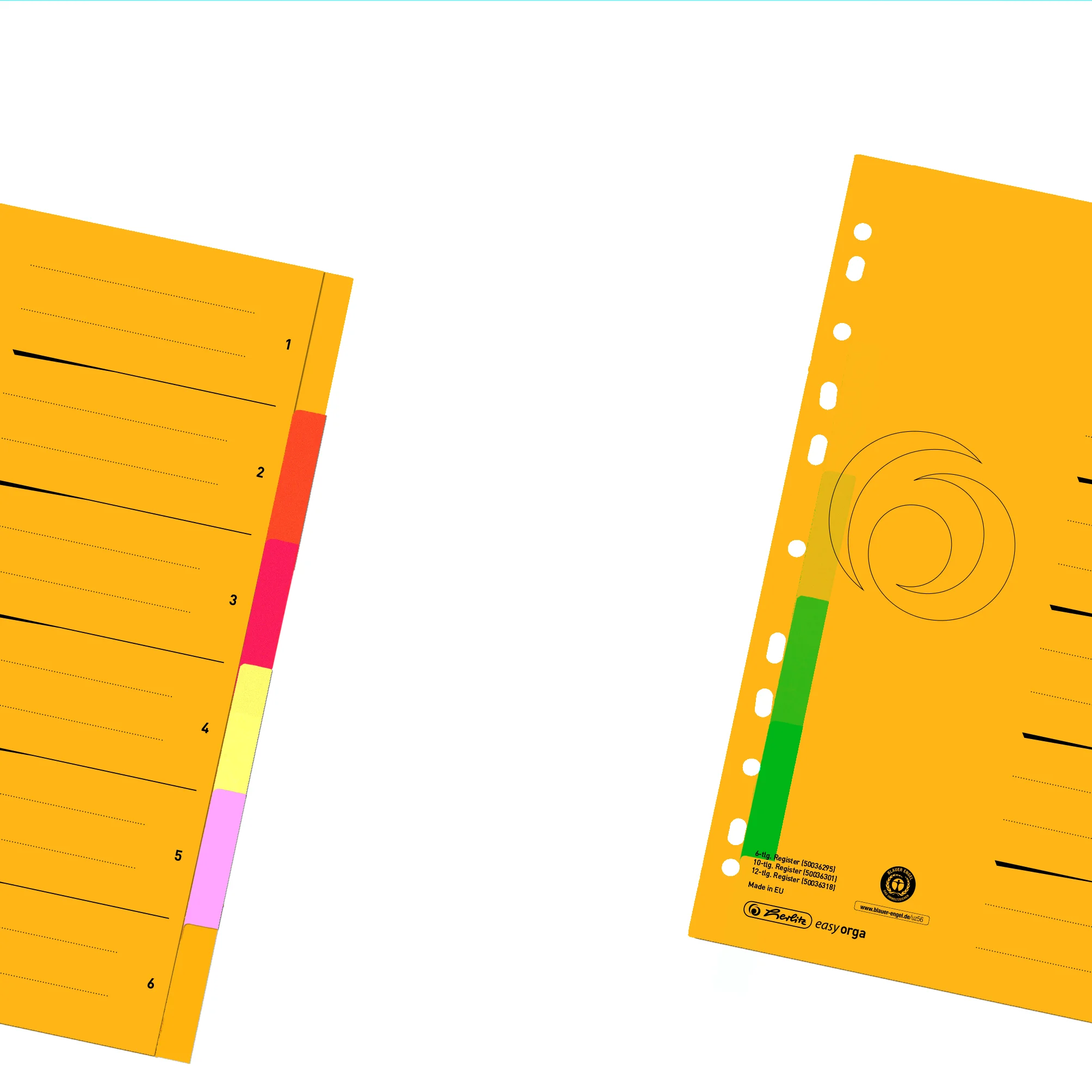 herlitz Karton-Register, A4 Überbreite, 6-teilig, blanko (EAN: 4008110267821)