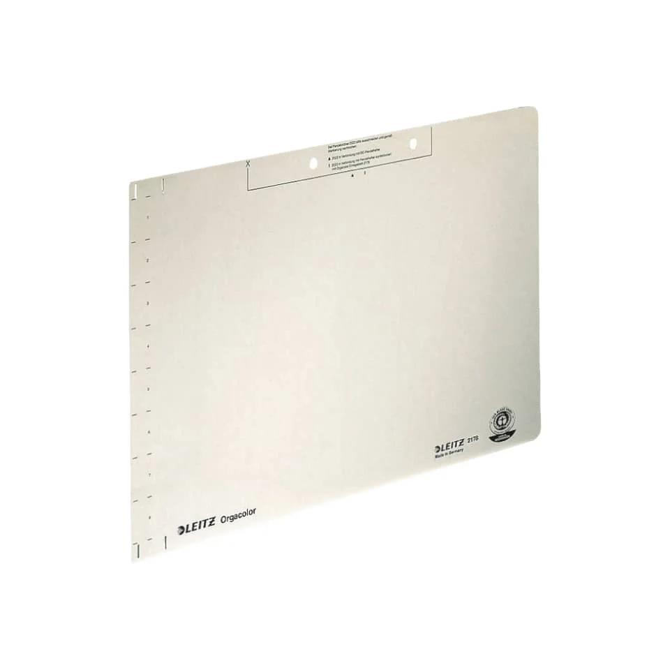 LEITZ Einlegeblatt, (B)323 x (H)224 mm, chamois (EAN: 4002432304622)